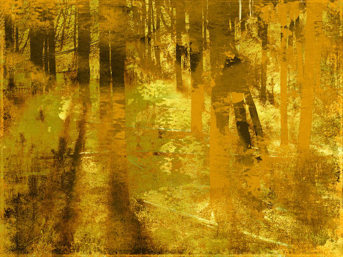 Golden Birch Meadow Poster Print - ArtLab GI