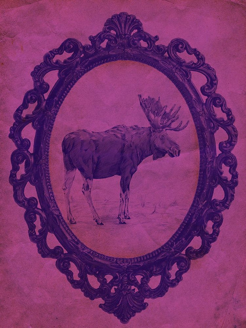 Framed Moose in Violet Poster Print - Studio SEA