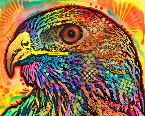 Hawk eye Poster Print - Russo Collection Dean