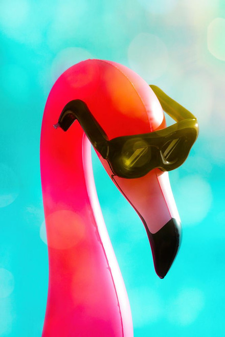 Flamingo Basking in Boca Bokeh Poster Print - GST
