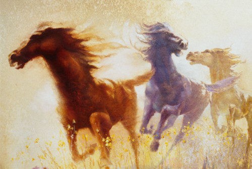 Wildflower Run Poster Print - Denton Lund