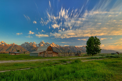 Golden Teton Morning Poster Print - Bill Sherrell