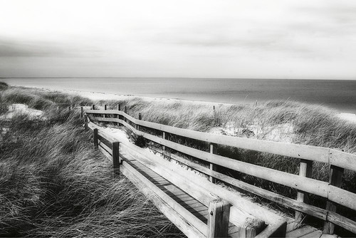 Shoreline Walking Trail Poster Print - GST