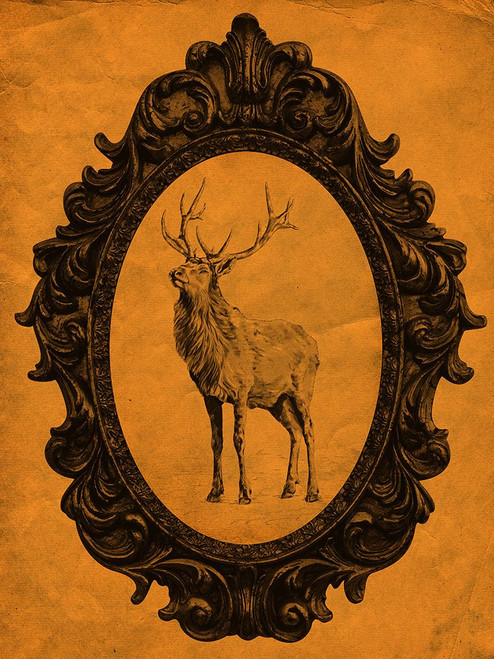 Framed Elk in Tangerine Poster Print - Studio SEA