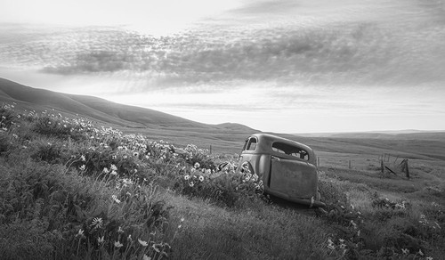 Abandoned in the Field Poster Print - Don Schwartz