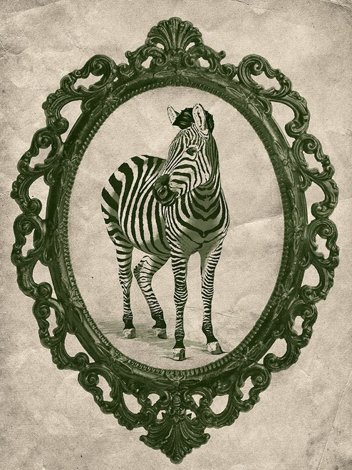 Framed Zebra in Evergreen Poster Print - Studio SEA