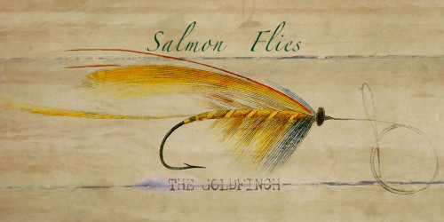 Salmon Flies Erin Goldfinch Poster Print - GST