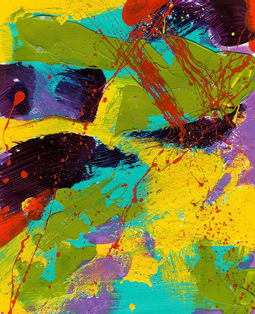 Brazilian Rain Forest Poster Print - Daniel Houston