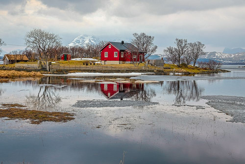 Norway- Lofoten Islands. View across Indrepollen Lake. Poster Print - Hollice Looney
