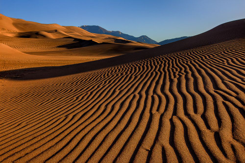 Pebble On A Sand Dune Poster Print - Bill Sherrell