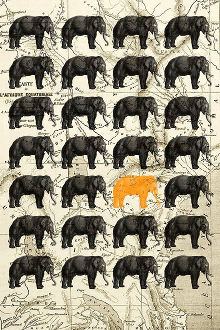 Elephants Poster Print - ArtLab GI