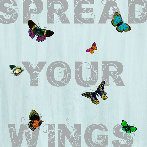 Spread Your Wings Poster Print - ArtLab GI