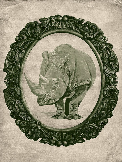 Framed Rhinoceros in Evergreen Poster Print - Studio SEA
