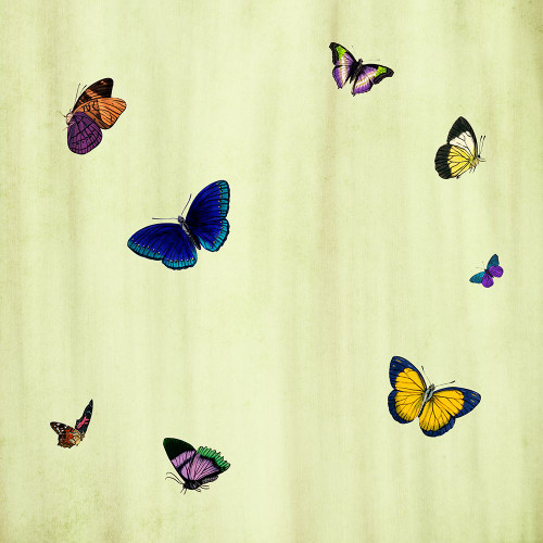 Flutter D Poster Print - ArtLab GI
