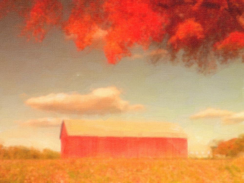 Glastonbury Barn in Fall Poster Print - GST