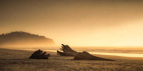 Solitary Beach at Sundown Poster Print - Don Schwartz