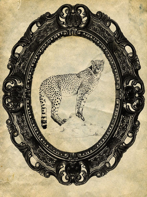 Framed Cheetah Poster Print - Studio SEA