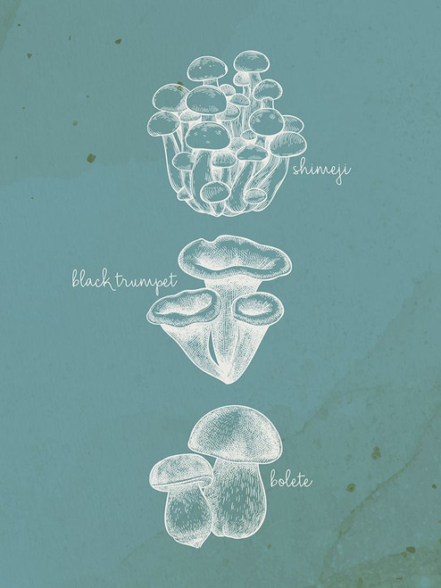 Mushroom Teal 2 Poster Print - Ann Bailey