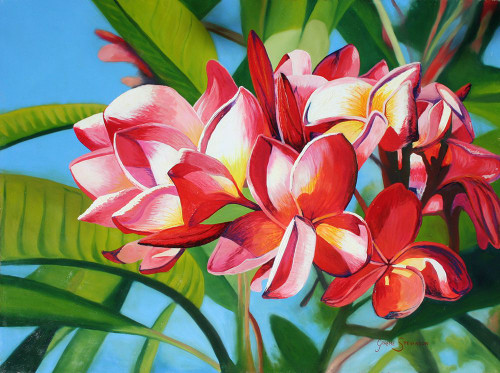 Frangipani Days Poster Print - Graeme Stevenson
