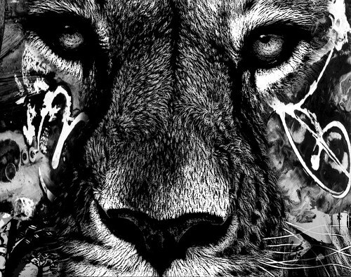 Feline Poster Print - Karen Smith
