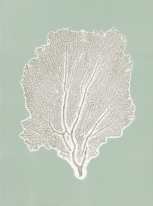 Sea Fan 1 Poster Print - Studio MMB