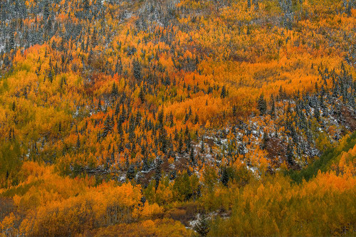 Orange Endeavor Poster Print - Bill Sherrell Orange Endeavor Poster Print - Bill Sherrell