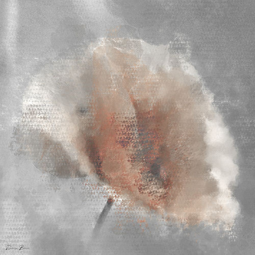 Single Poppy 1 Poster Print - Denise Brown