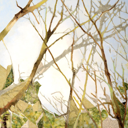 Change of Form B Poster Print - Danna Harvey