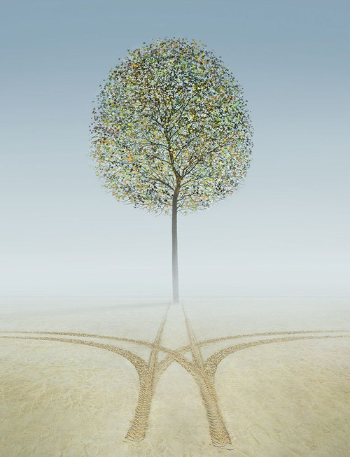 Eden Poster Print - Ben Heine