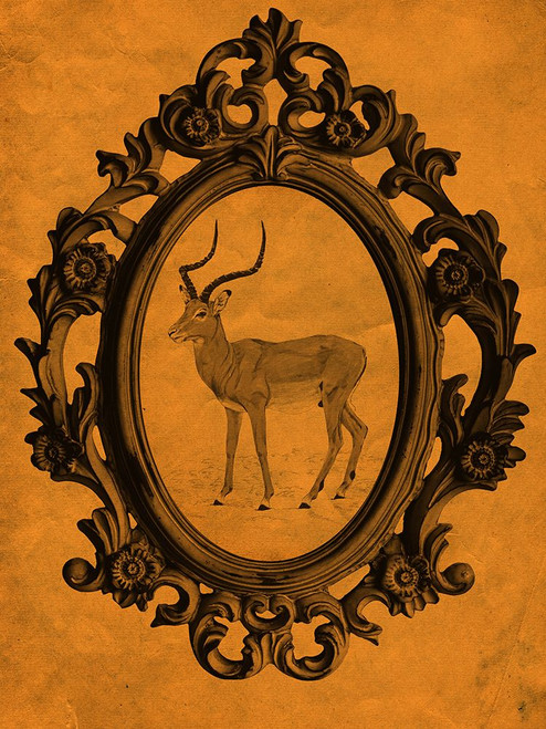 Framed Gazelle in Tangerine Poster Print - Studio SEA