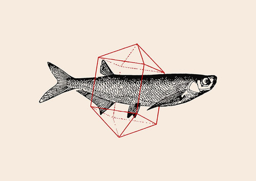 Fish In Geometrics NAo2 Poster Print - Florent Bodart