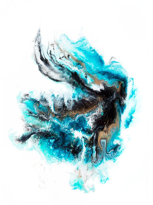 Acropora Poster Print - Alyson Storms