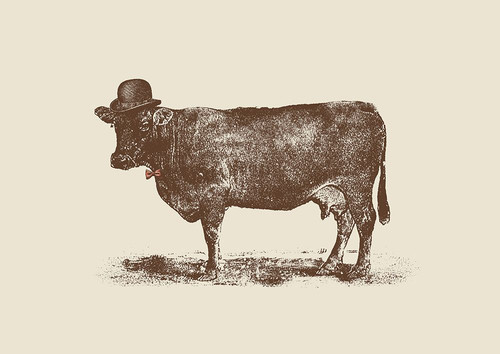 Cow Cow Nut Poster Print - Florent Bodart