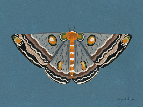 Moth I Poster Print - Farida Zaman