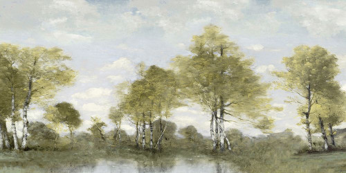 Pond Reflection I Poster Print - Christy McKee