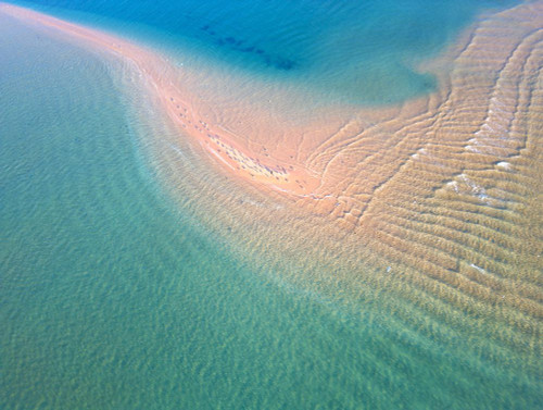 Nature From Above XVI Poster Print - Studio Praxis