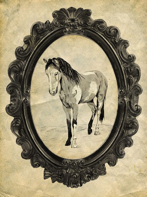 Framed Paint Horse Poster Print - Studio SEA