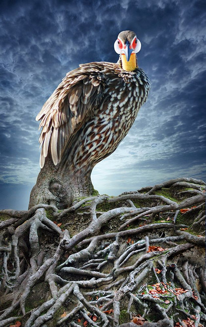 Back to My Roots Poster Print - Ben Heine