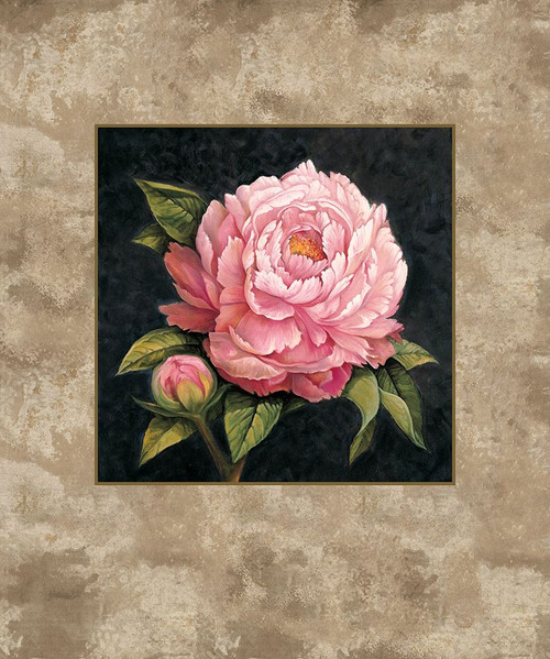 Pink Peony Poster Print - E. Lopez