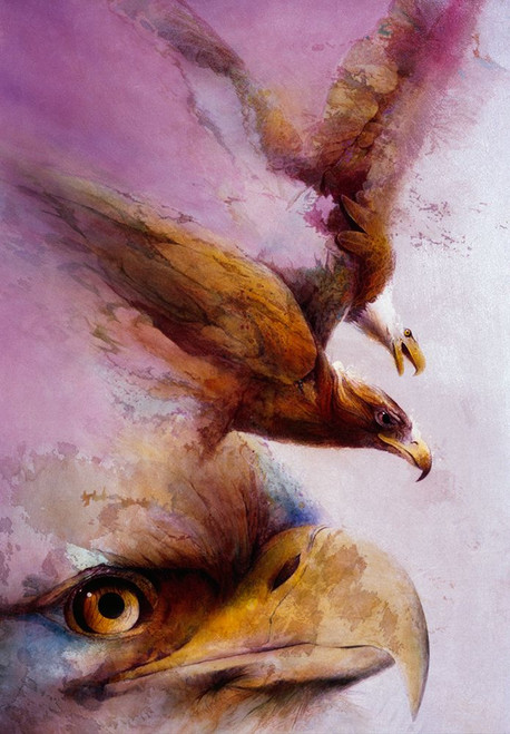 Eye Of The Eagle Poster Print - Denton Lund
