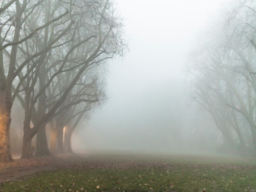 Intriguing Beginnings Poster Print - Kent Burkhardsmeier