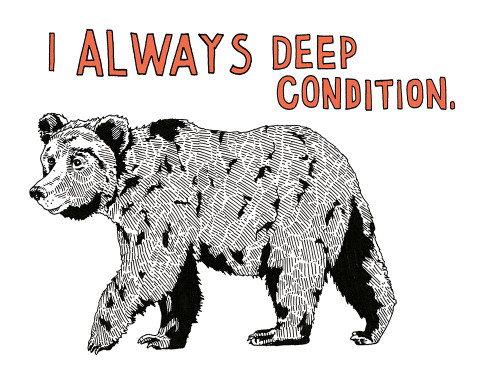 Bear Poster Print - Studio NM