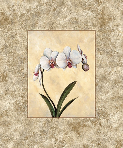 Perfection I Poster Print - E. Lopez