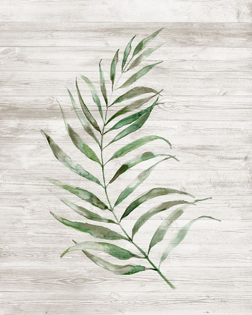 Tropic Frond I Poster Print - Nan