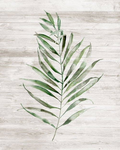 Tropic Frond II Poster Print - Nan