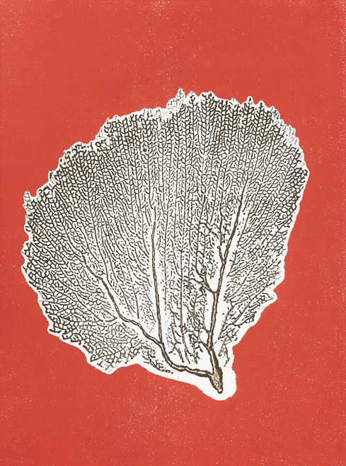 Sea Fan 9 Poster Print - Studio MMB