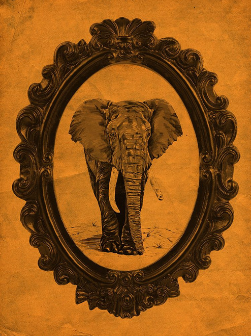 Framed Elephant in Tangerine Poster Print - Studio SEA