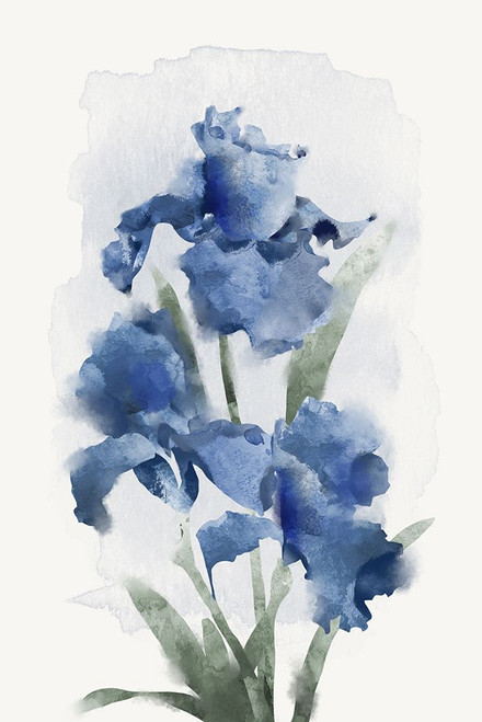 Blue Orchid Bunch Poster Print - Q Jacob