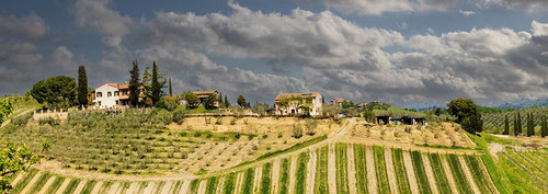Tuscan landscape under thunder clouds. Farmhouse with vineyard. Tuscany-Italy. Poster Print - Tom Norring