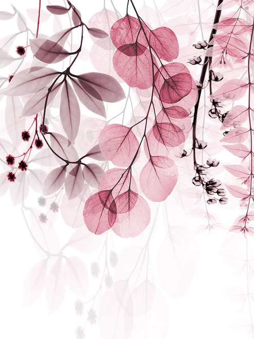Vivid Matter 2 Poster Print - Albert Koetsier